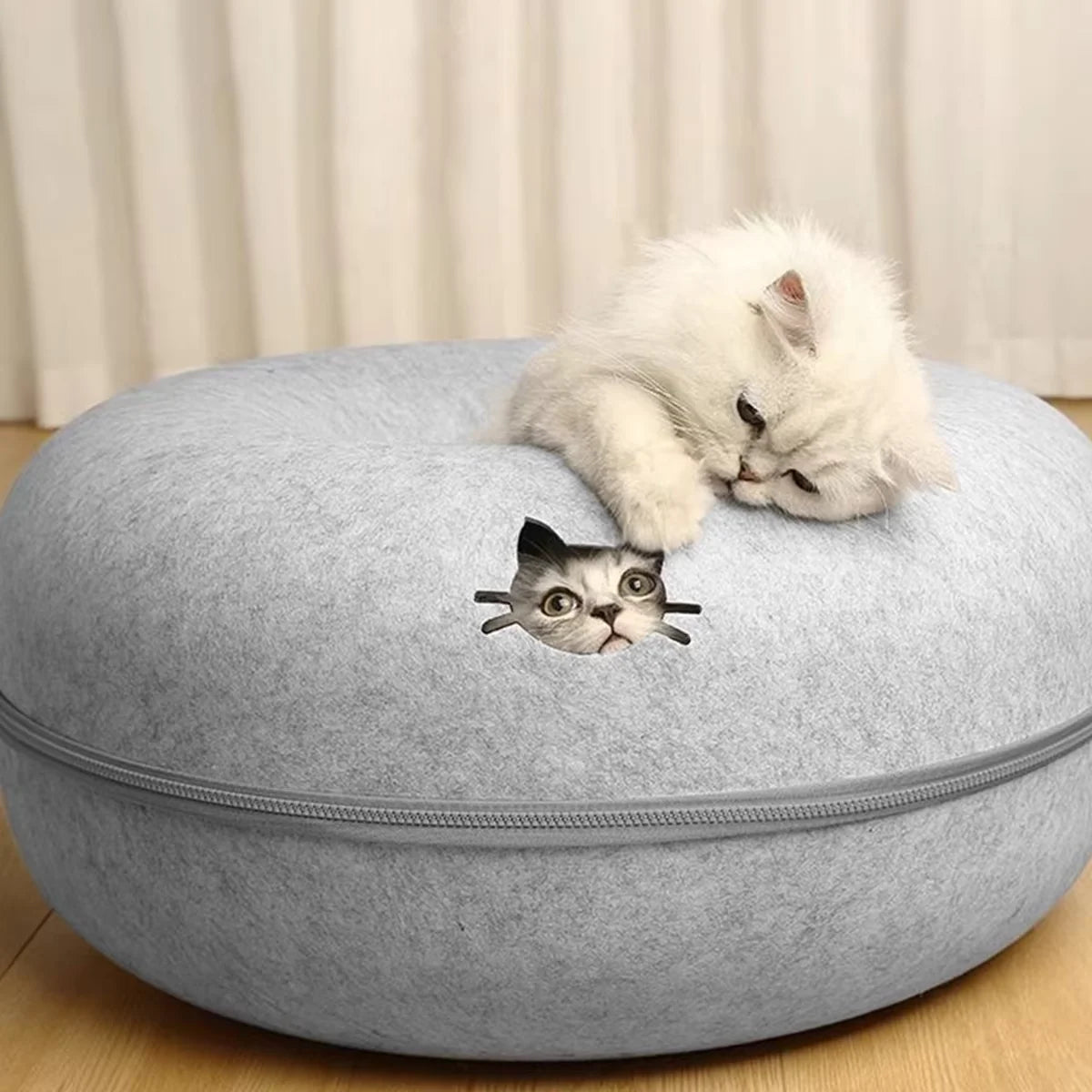 Pets